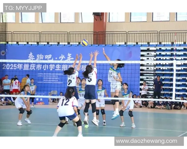 排球评论：重庆排球队的控制得失