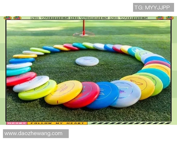 王娜专访:回顾飞盘历程 王娜专访:回顾飞盘历程