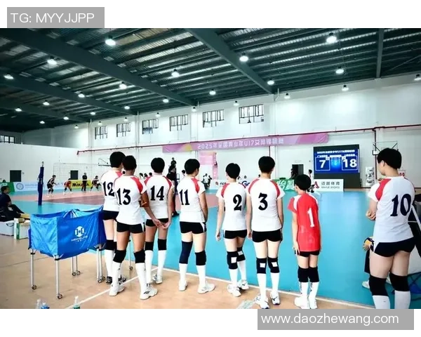 热议排球：上海排球队的耐力变革